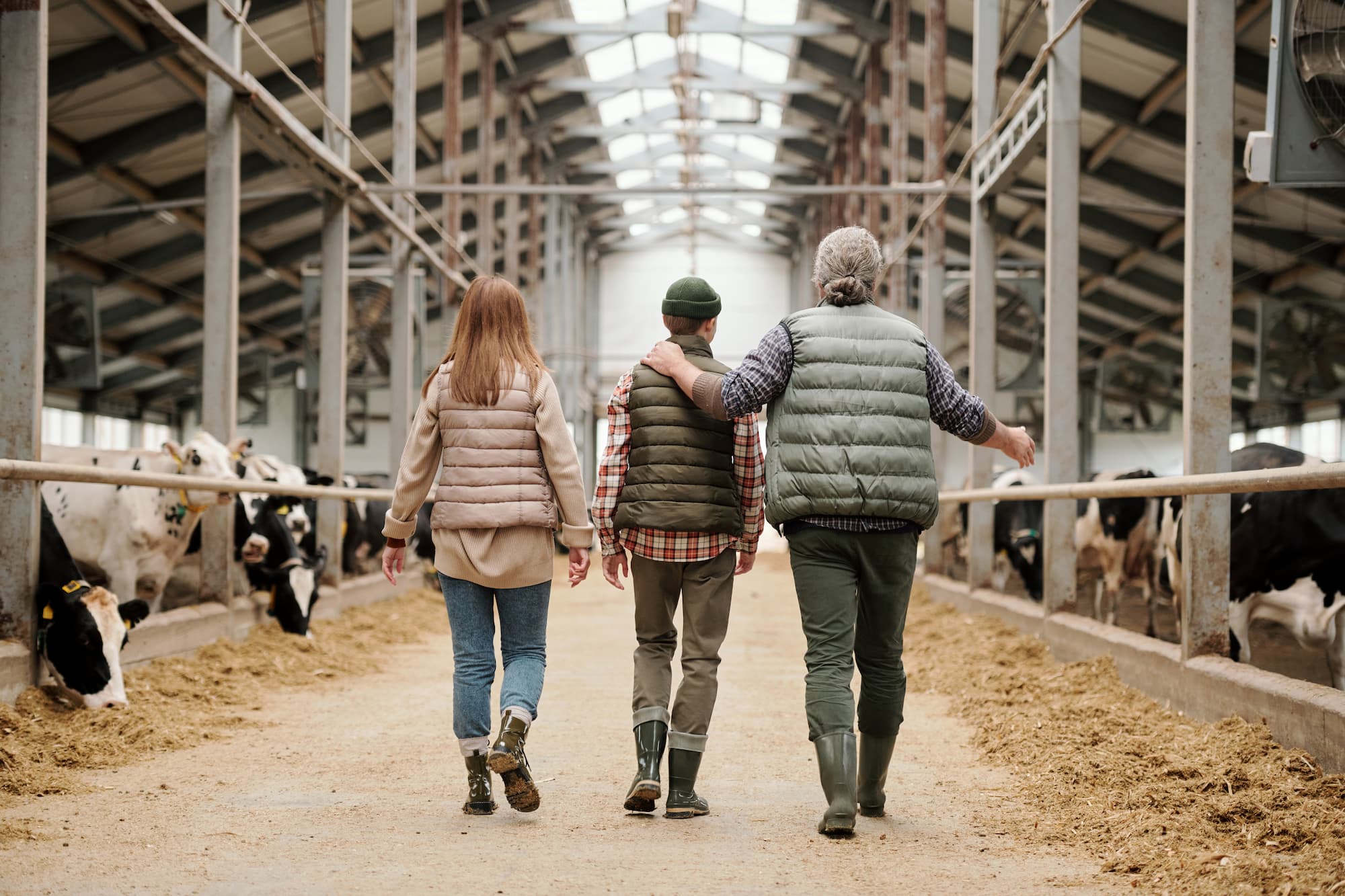 Farming and family: succession planning for Wiltshire’s agricultural businesses